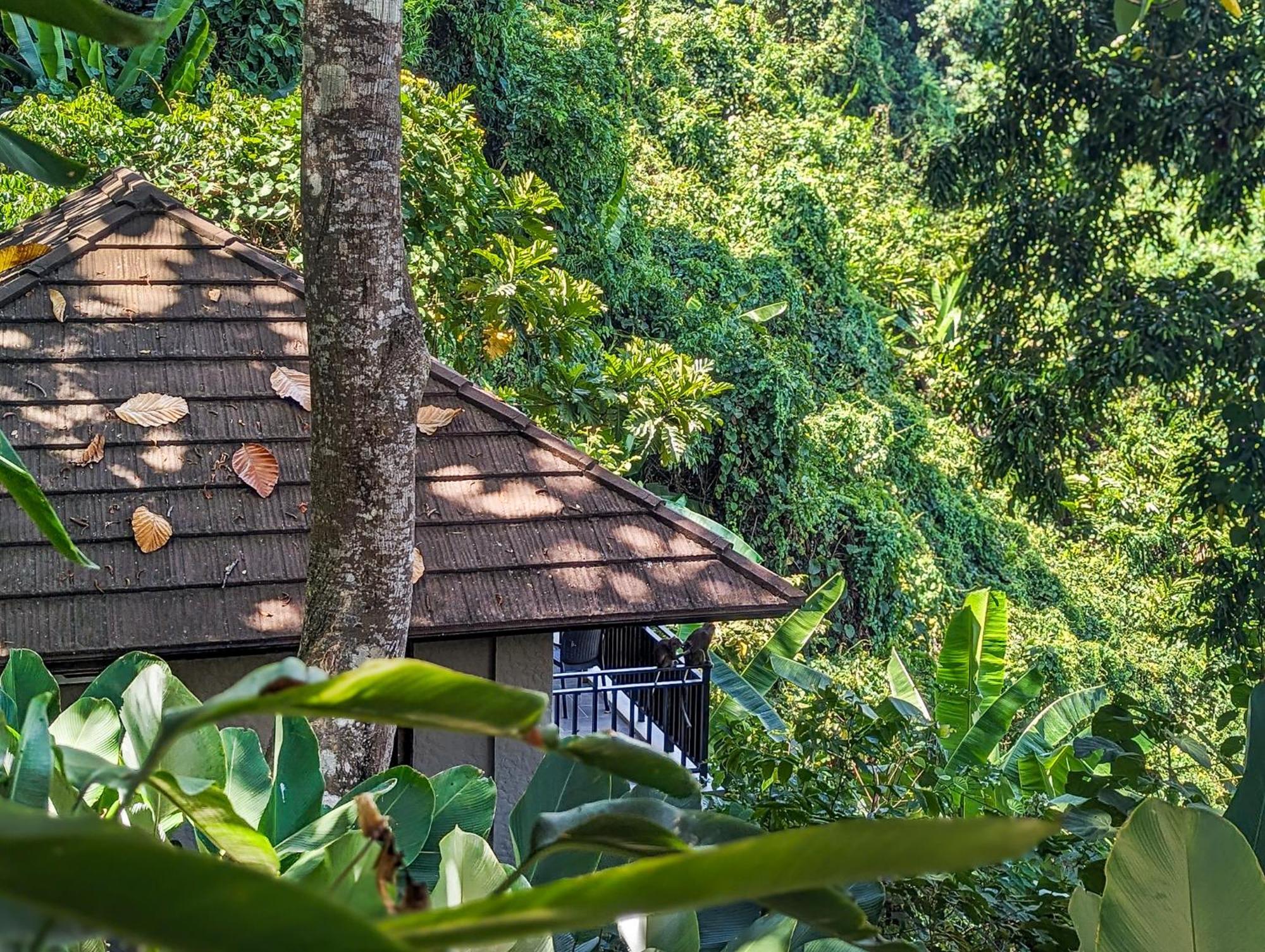 Perch El Nido'S Seaview Villas Overlooking Marimegmeg Zewnętrze zdjęcie